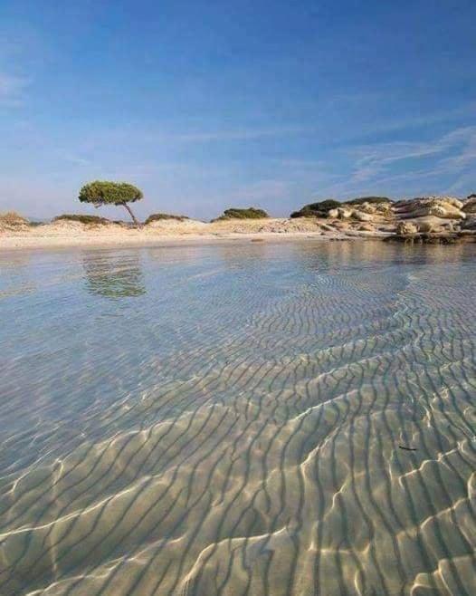 Villa Elea Vourvourou Luaran gambar